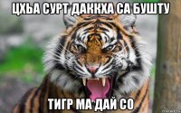 цхьа сурт даккха са бушту тигр ма дай со