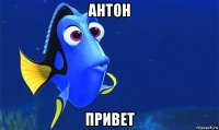 антон привет