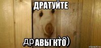 дратуйте авы кто