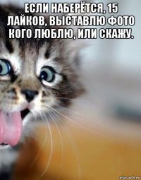 если наберётся, 15 лайков, выставлю фото кого люблю, или скажу. 