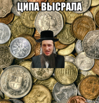 ципа высрала 