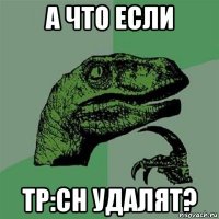 а что если tp:ch удалят?