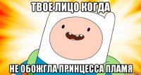 твое лицо когда не обожгла принцесса пламя