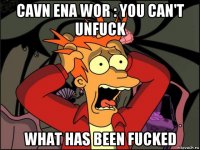 cavn ena wor : you can't unfuck what has been fucked