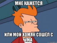 мне кажется или мой хомяк сошёл с ума