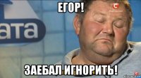 егор! заебал игнорить!