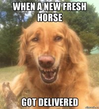 when a new fresh horse got delivered