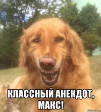  классный анекдот, макс!