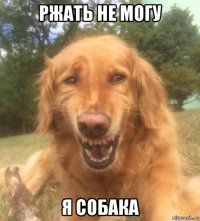 ржать не могу я собака