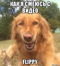 как я смеюсь с видео flippy