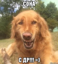 сона с др!!! =)