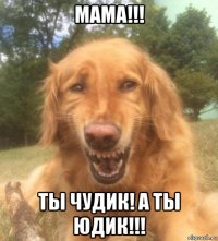 мама!!! ты чудик! а ты юдик!!!