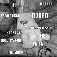 Я не понял где мясо колбаса молоко рыба твой пикап новые туфли и мой хозяин???