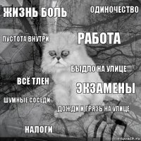 жизнь боль экзамены работа налоги всё тлен одиночество дожди и грязь на улице пустота внутри шумные соседи быдло на улице