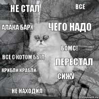 Не стал Перестал Чего надо Не находил Все с котом был Все Сижу Алака барх Крибли крабли Бомс!