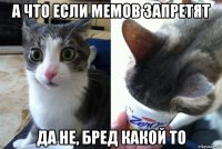 а что если мемов запретят да не, бред какой то