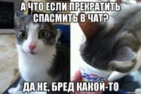 а что если прекратить спасмить в чат? да не, бред какой-то