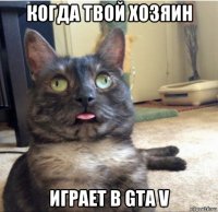 когда твой хозяин играет в gta v