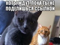 коты ждут, пока ты не поделишься ссылкой 