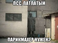 псс, патлатый парикмахер нужен?