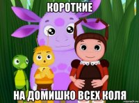 короткие на домишко всех коля