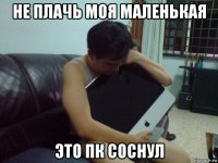 не плачь моя маленькая это пк соснул