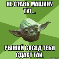 не ставь машину тут… рыжий сосед тебя сдаст гаи.