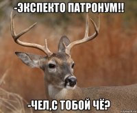 -экспекто патронум!! -чел,с тобой чё?