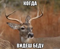 когда видеш беду