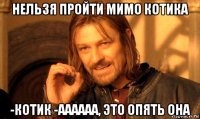 нельзя пройти мимо котика -котик -аааааа, это опять она