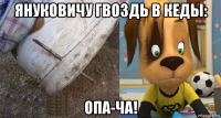 януковичу гвоздь в кеды: опа-ча!