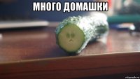 много домашки 