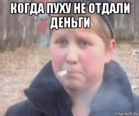 когда пуху не отдали деньги 