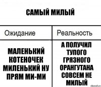 Самый милый Маленький котеночек миленький ну прям ми-ми А получил тупого грязного орангутана совсем не милый