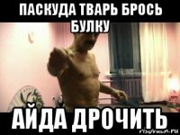 паскуда тварь брось булку айда дрочить