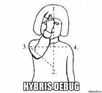  hybris debug