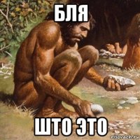 бля што это