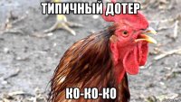 типичный дотер ко-ко-ко
