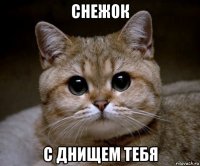 снежок с днищем тебя