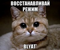 восстанавливай режим blyat'