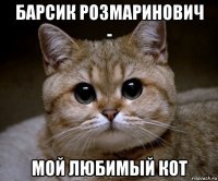 барсик розмаринович - мой любимый кот