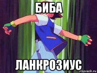 биба ланкрозиус