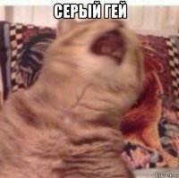 серый гей 