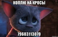 коплю на кросы 79603113070