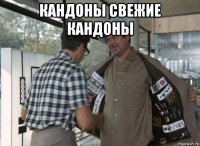 кандоны свежие кандоны 