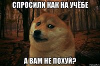 спросили как на учёбе а вам не похуй?