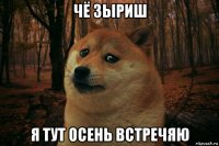 чё зыриш я тут осень встречяю