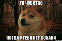 то чувство когда у тебя нет собаки