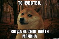 то чувство, когда не смог найти мячина