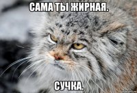 сама ты жирная. сучка.